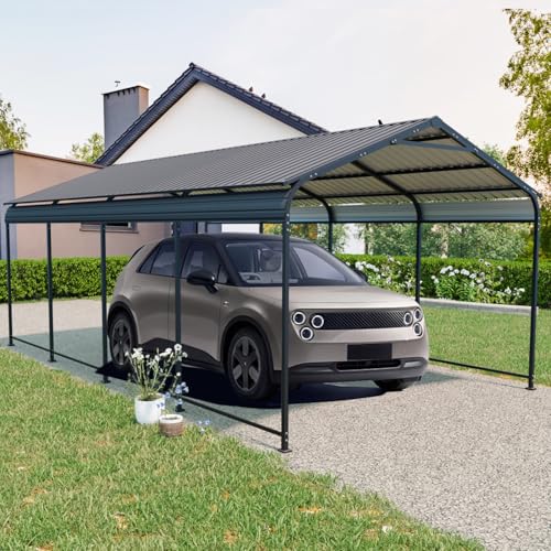 12 × 21 Ft Weather-Resistant Metal Carport